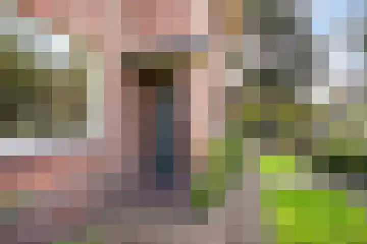 Hoenderlaan 7 Den Haag thumbnail 58