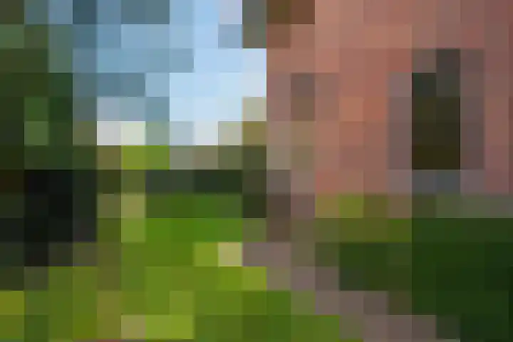 Hoenderlaan 7 Den Haag thumbnail 59