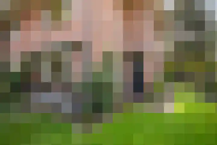 Hoenderlaan 7 Den Haag thumbnail 6