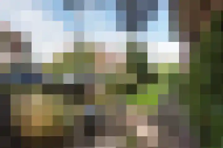 Hoenderlaan 7 Den Haag thumbnail 60