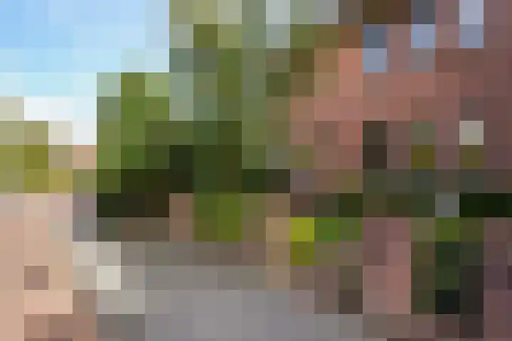 Hoenderlaan 7 Den Haag thumbnail 61