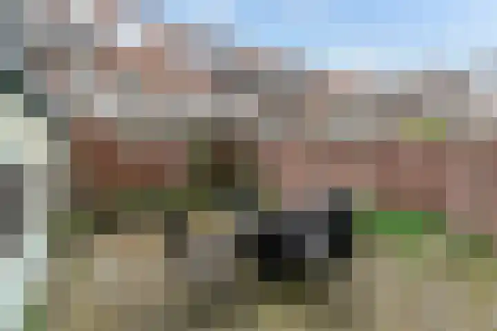 Hoenderloostraat 128 Den Haag thumbnail 22
