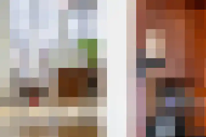 Hoenderloostraat 128 Den Haag thumbnail 9