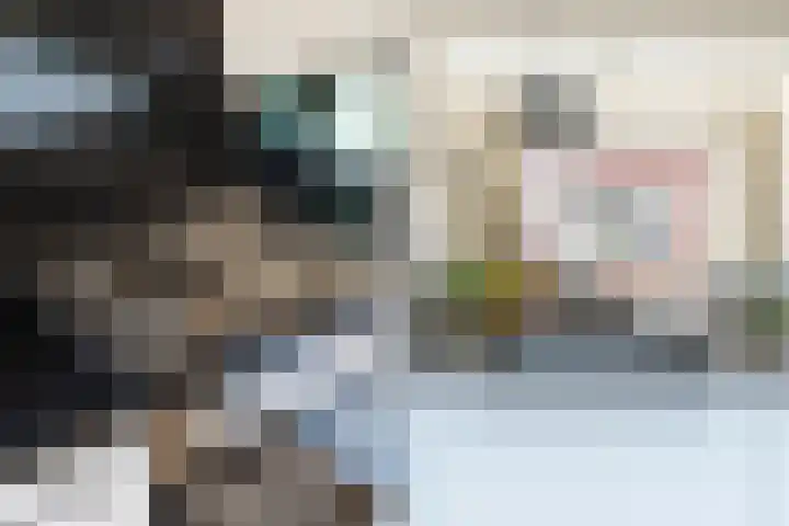 Hoenderloostraat 48 Den Haag thumbnail 10