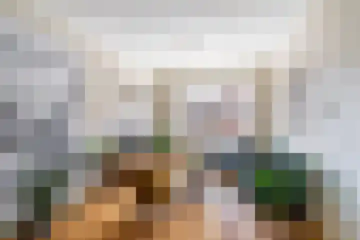 Hoenderloostraat 48 Den Haag thumbnail 4