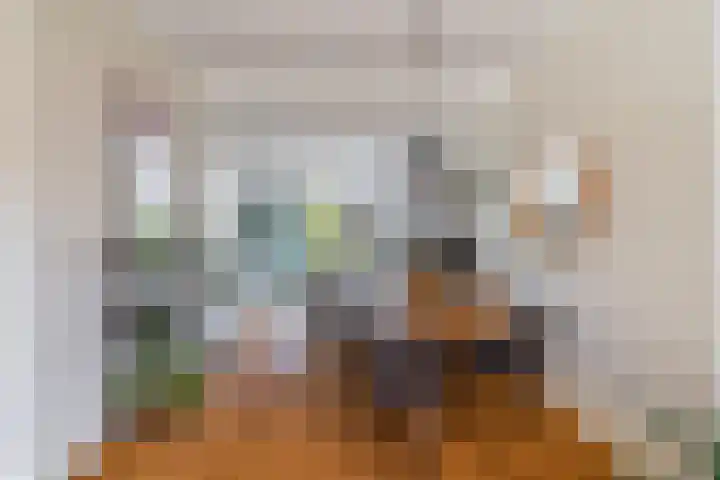 Hoenderloostraat 48 Den Haag thumbnail 5
