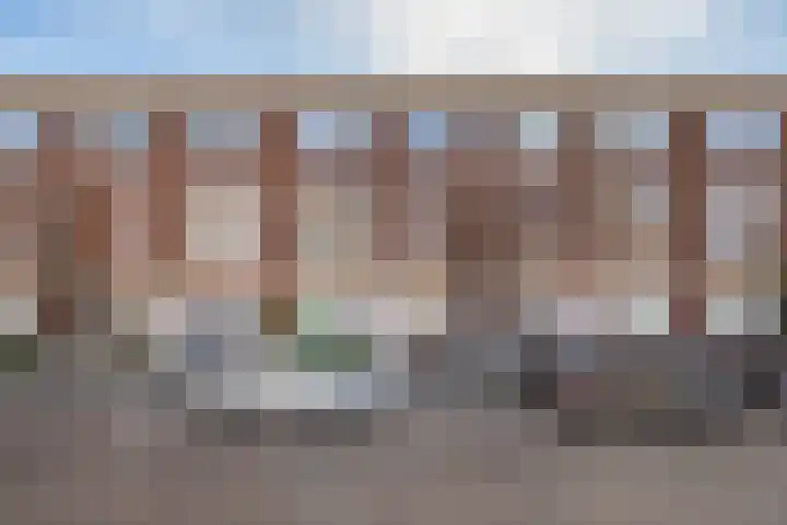 Hoenderloostraat 56 Den Haag thumbnail 4