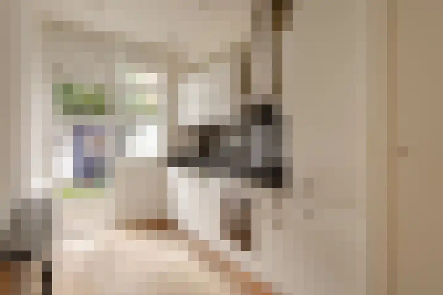 Hoenderloostraat 94 Den Haag thumbnail 18