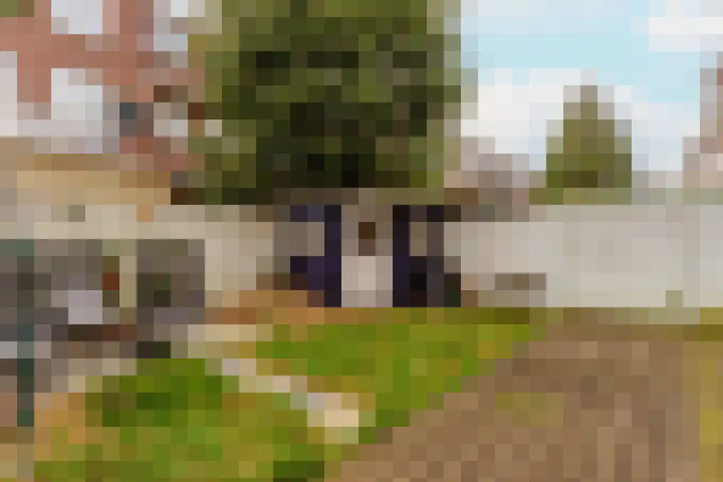 Hoenderloostraat 94 Den Haag thumbnail 20