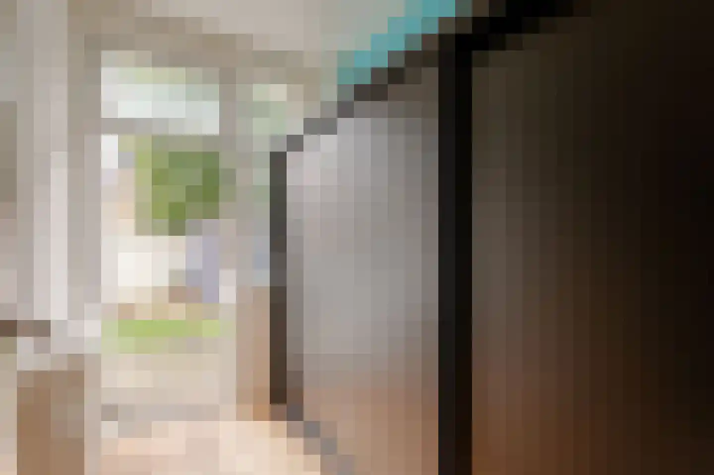 Hoenderloostraat 94 Den Haag thumbnail 27