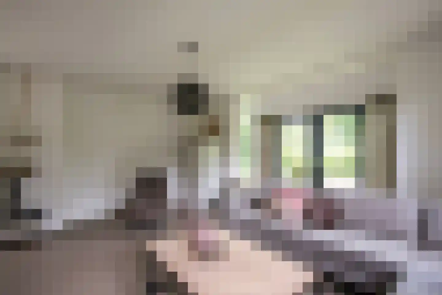 Hoenderloseweg 145 B Ugchelen thumbnail 14