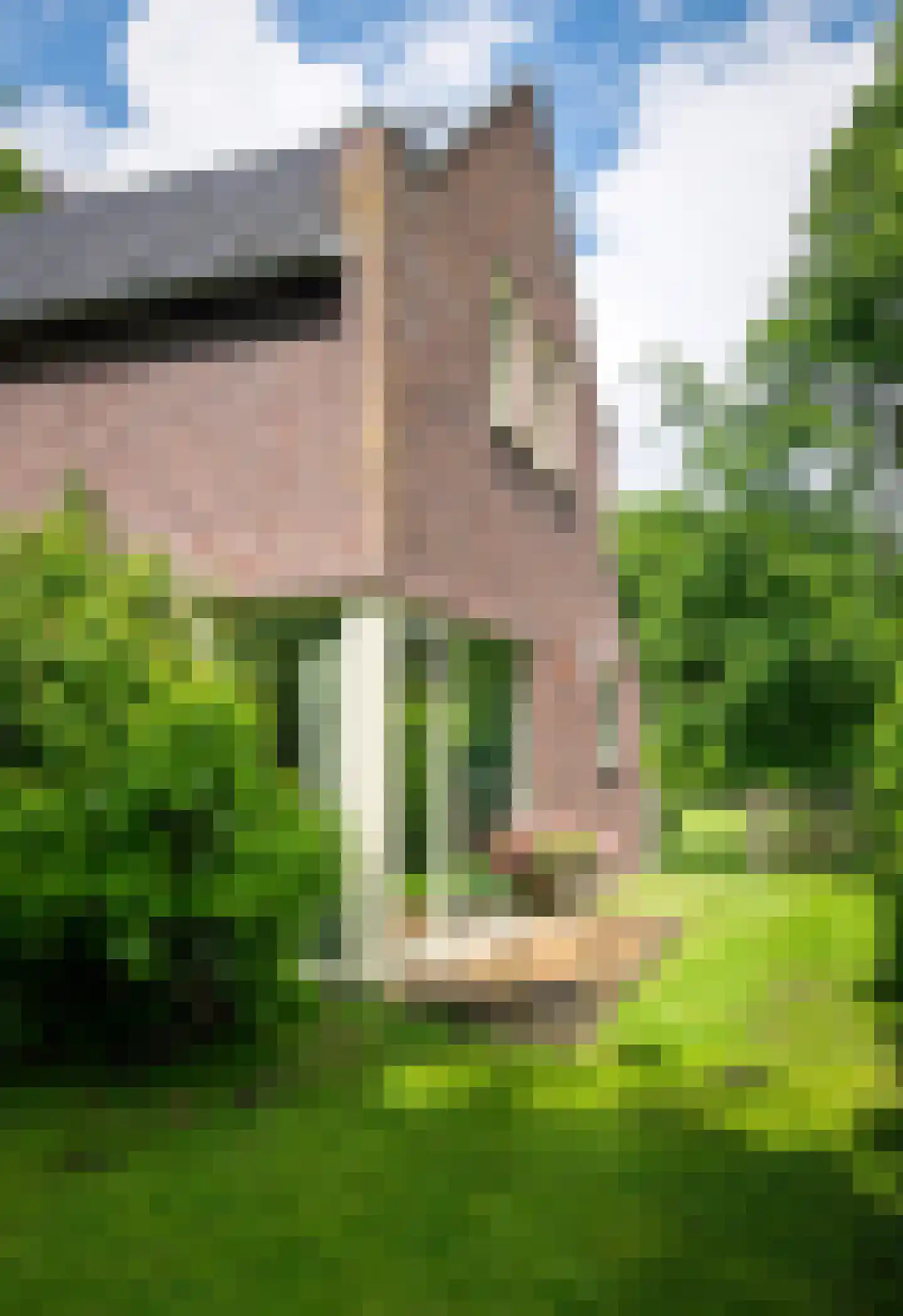 Hoenderloseweg 145 B Ugchelen thumbnail 29
