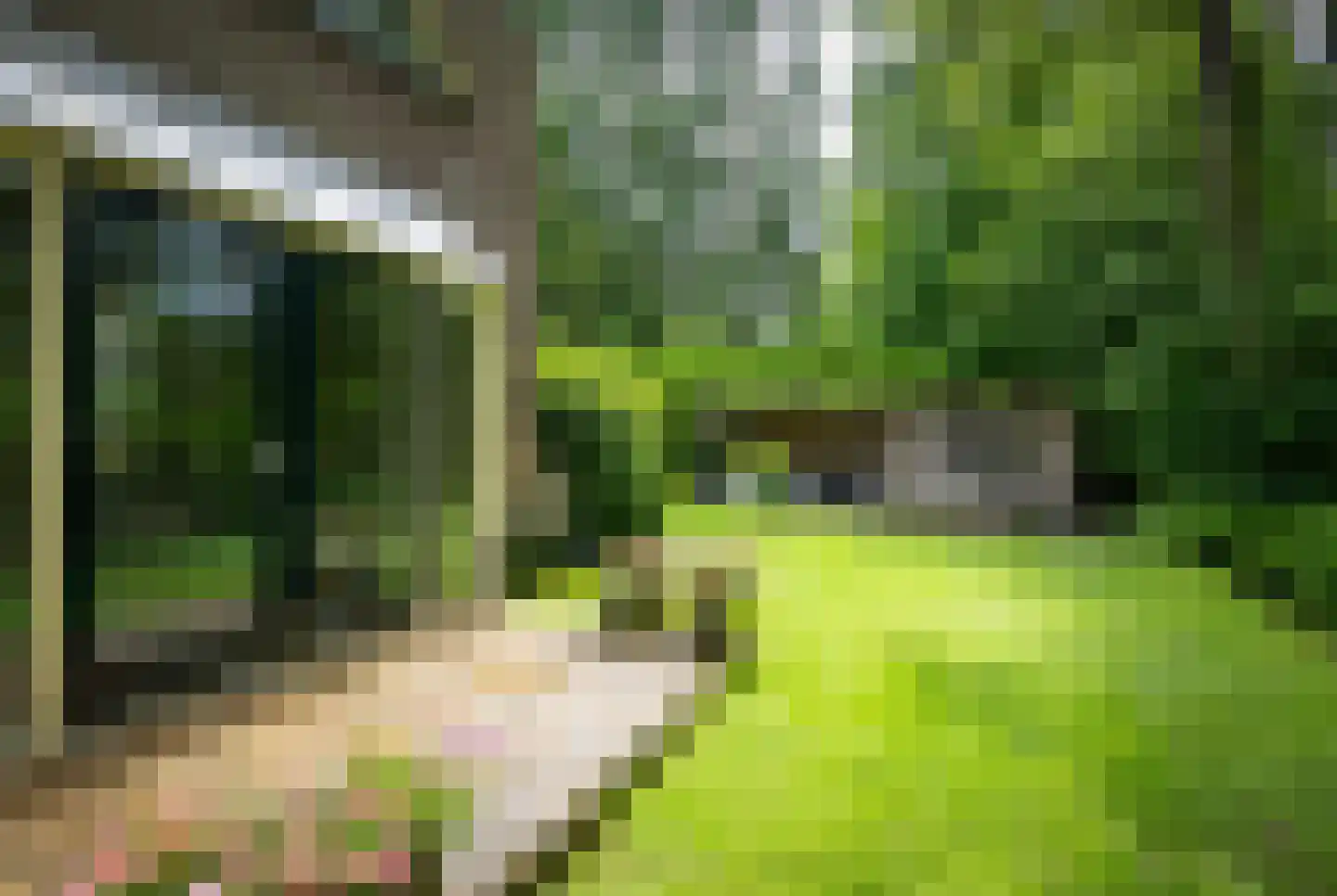 Hoenderloseweg 145 B Ugchelen thumbnail 34
