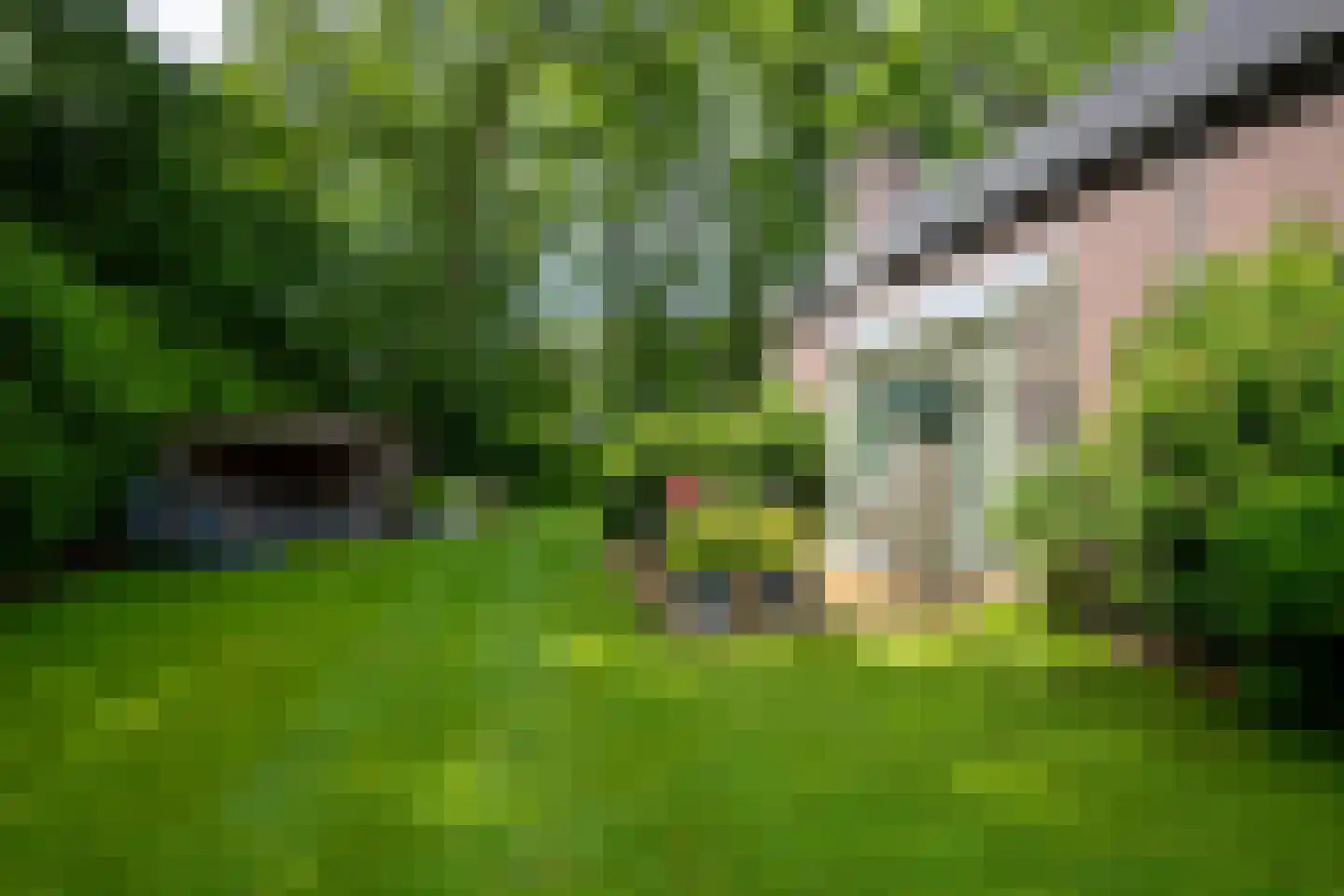 Hoenderloseweg 145 B Ugchelen thumbnail 36