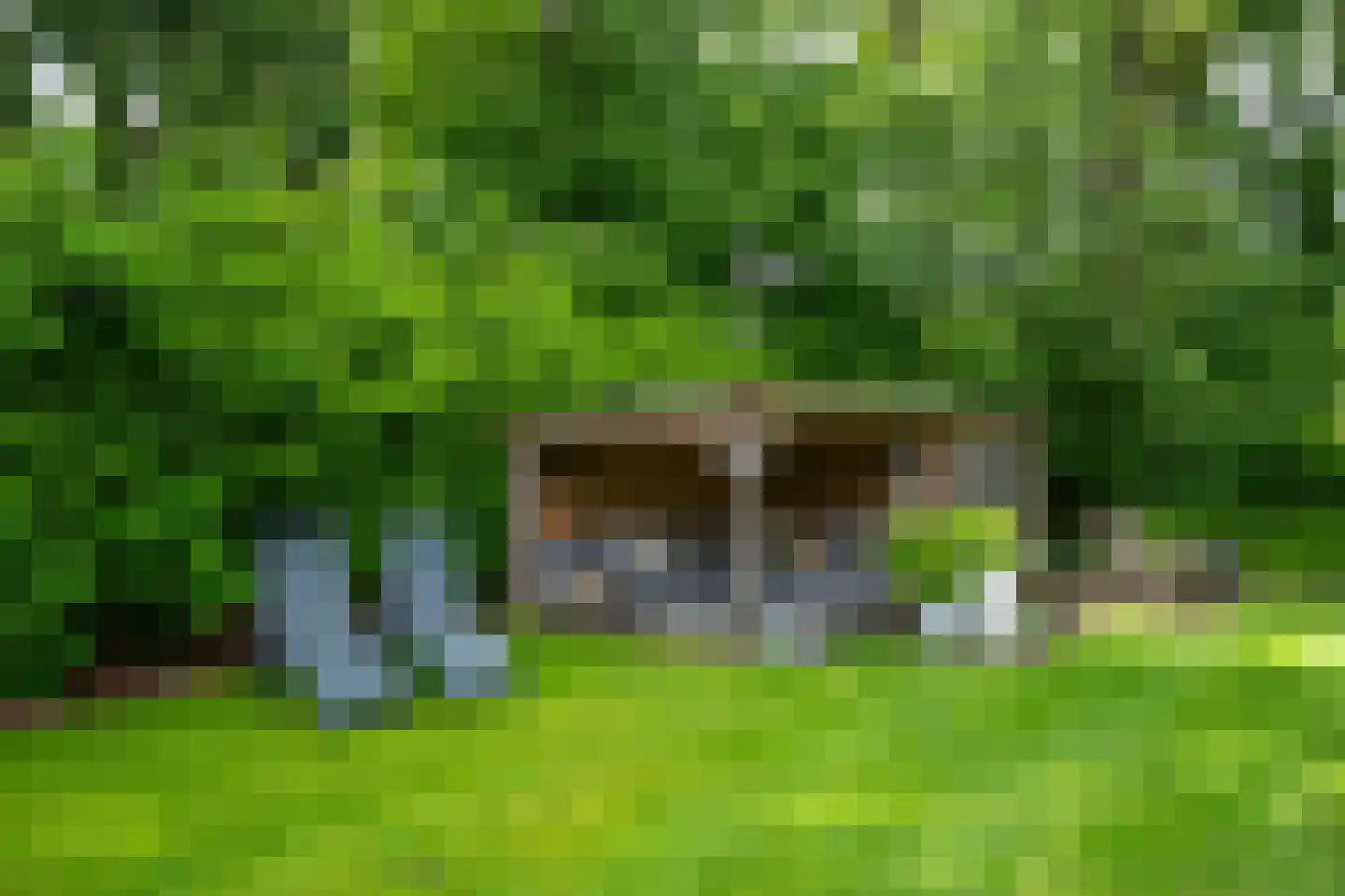 Hoenderloseweg 145 B Ugchelen thumbnail 37