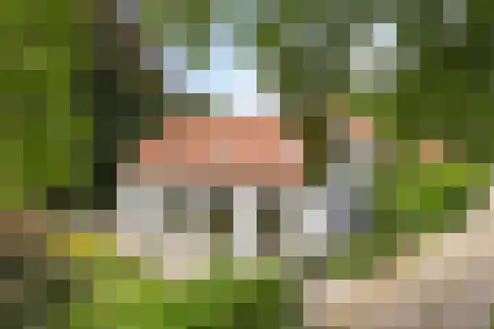 Hoenderloseweg 145 Ugchelen