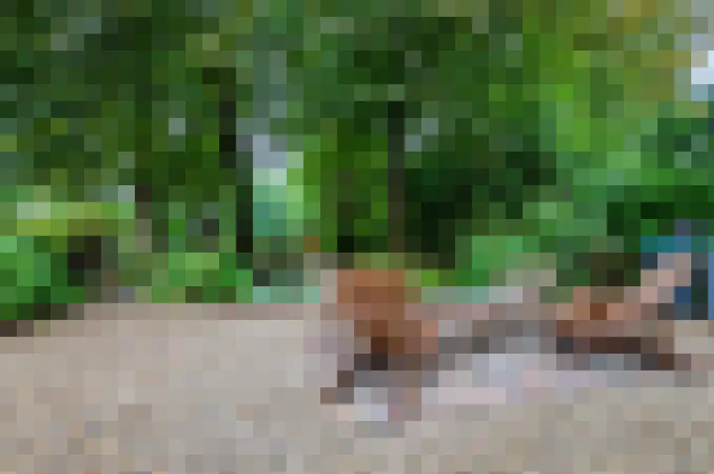 Hoenderloseweg 145 Ugchelen thumbnail 32