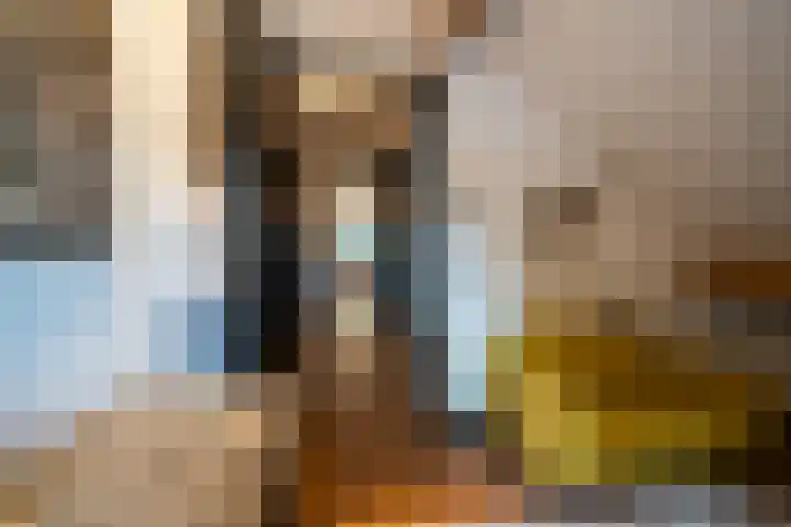 Hoenderloseweg 145 Ugchelen thumbnail 32
