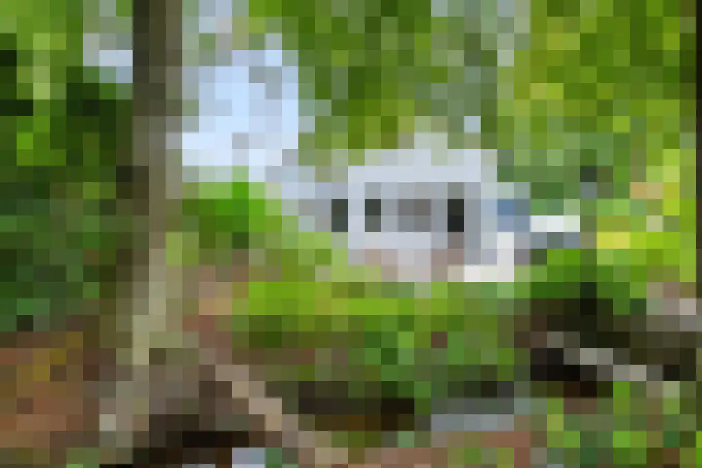 Hoenderloseweg 145 Ugchelen thumbnail 33