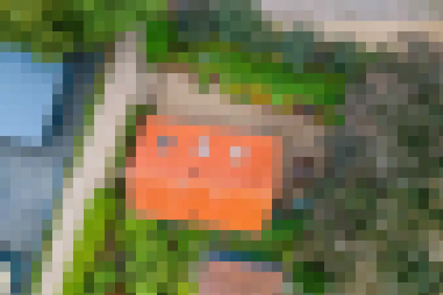 Hoenderloseweg 145 Ugchelen thumbnail 34