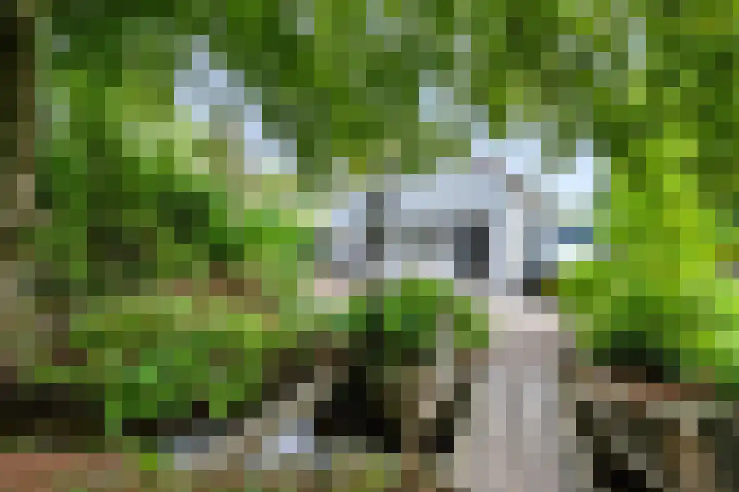 Hoenderloseweg 145 Ugchelen thumbnail 35