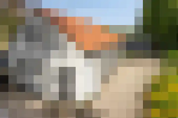 Hoenderloseweg 145 Ugchelen thumbnail 35