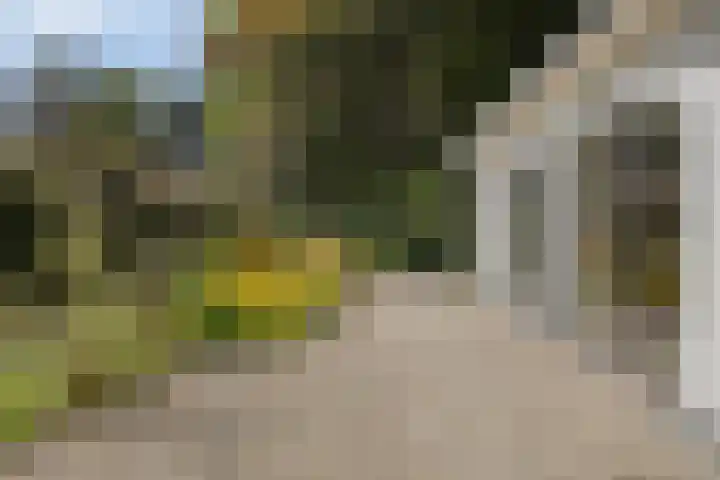 Hoenderloseweg 145 Ugchelen thumbnail 36