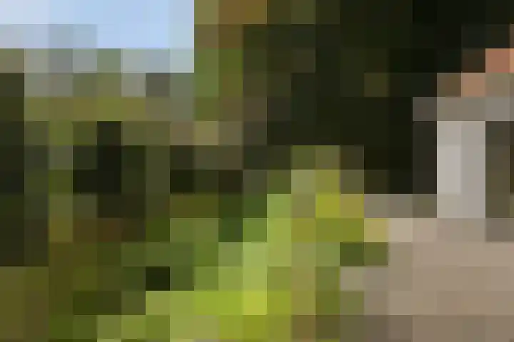 Hoenderloseweg 145 Ugchelen thumbnail 37