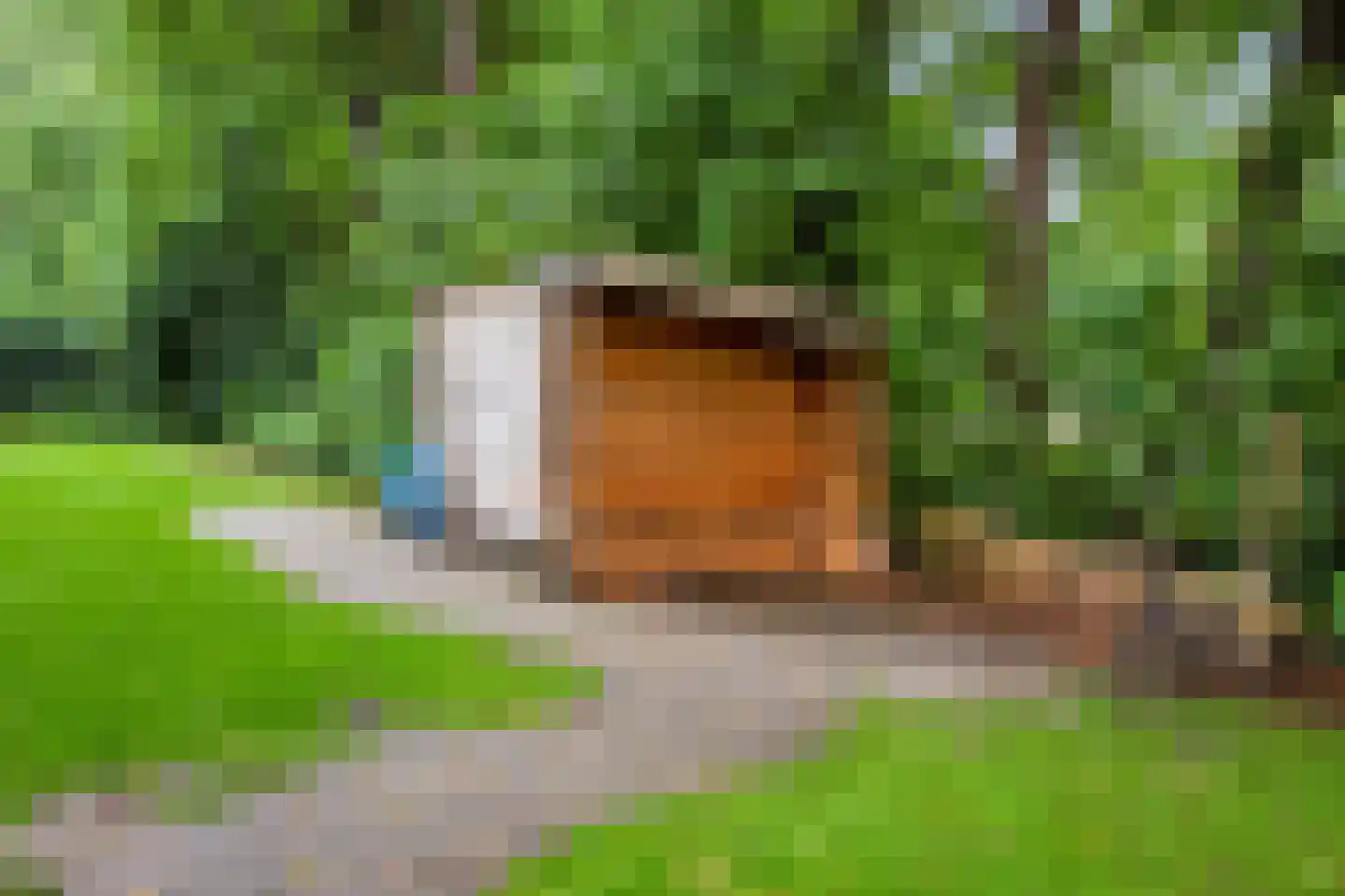 Hoenderloseweg 145 Ugchelen thumbnail 38