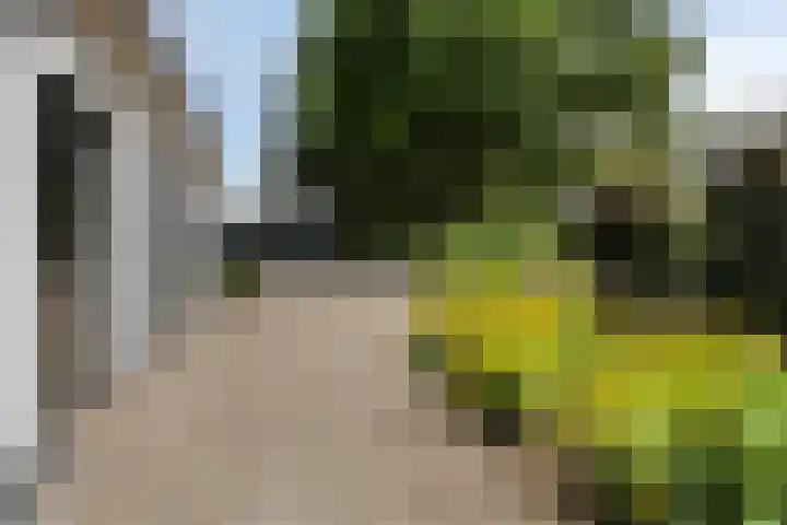 Hoenderloseweg 145 Ugchelen thumbnail 38