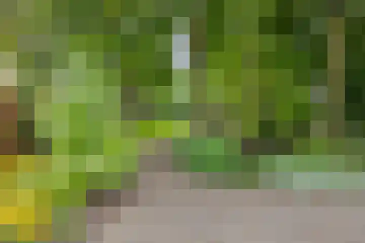 Hoenderloseweg 145 Ugchelen thumbnail 39