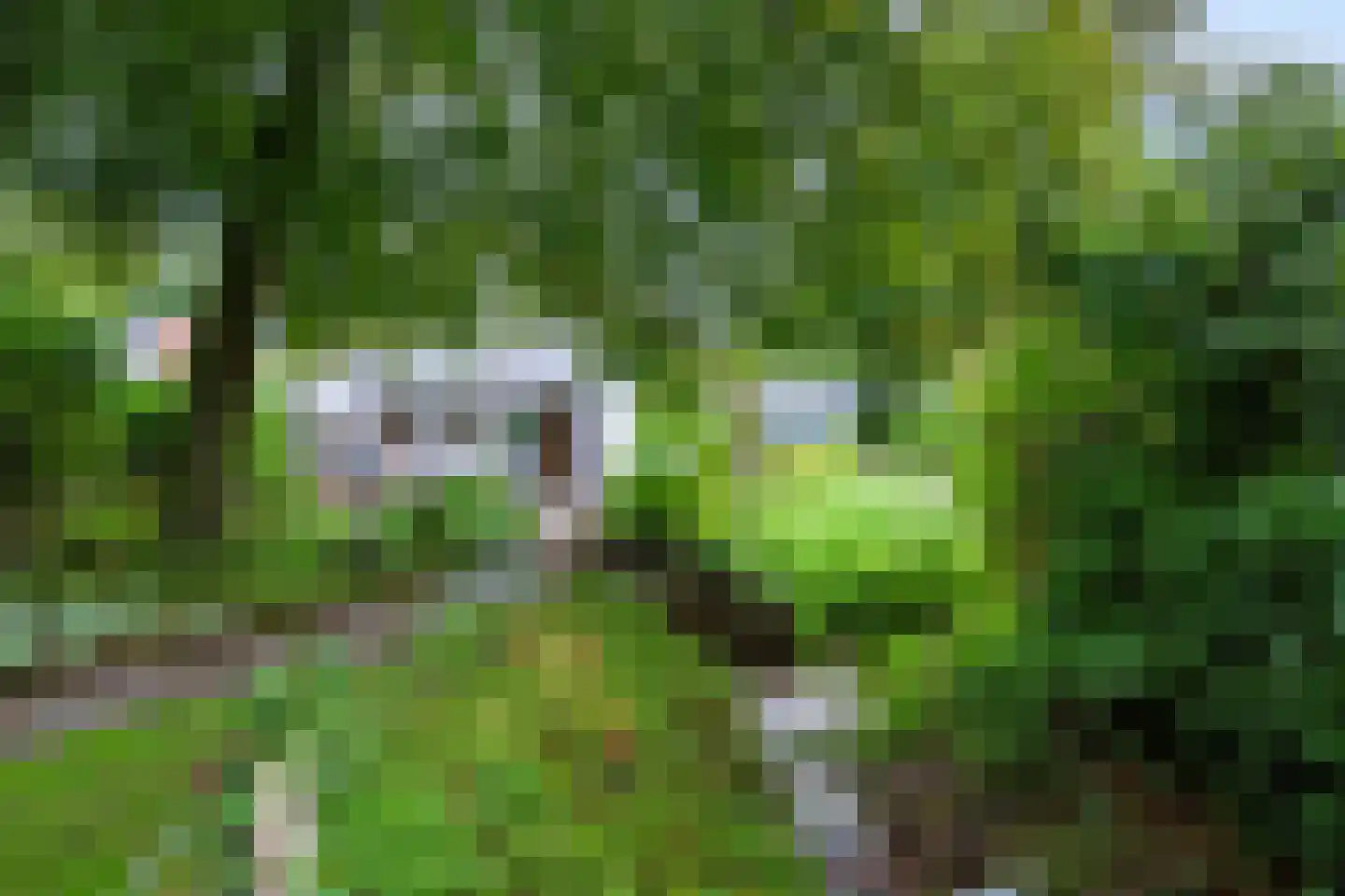 Hoenderloseweg 145 Ugchelen thumbnail 39