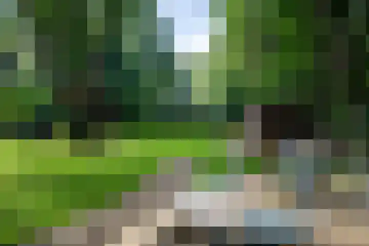 Hoenderloseweg 145 Ugchelen thumbnail 4