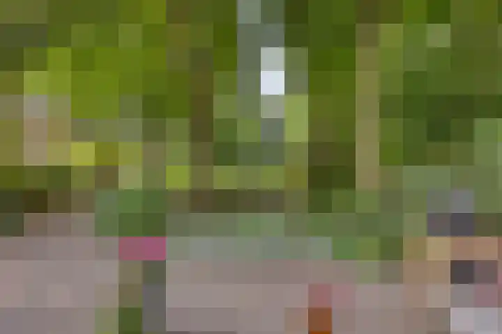Hoenderloseweg 145 Ugchelen thumbnail 40