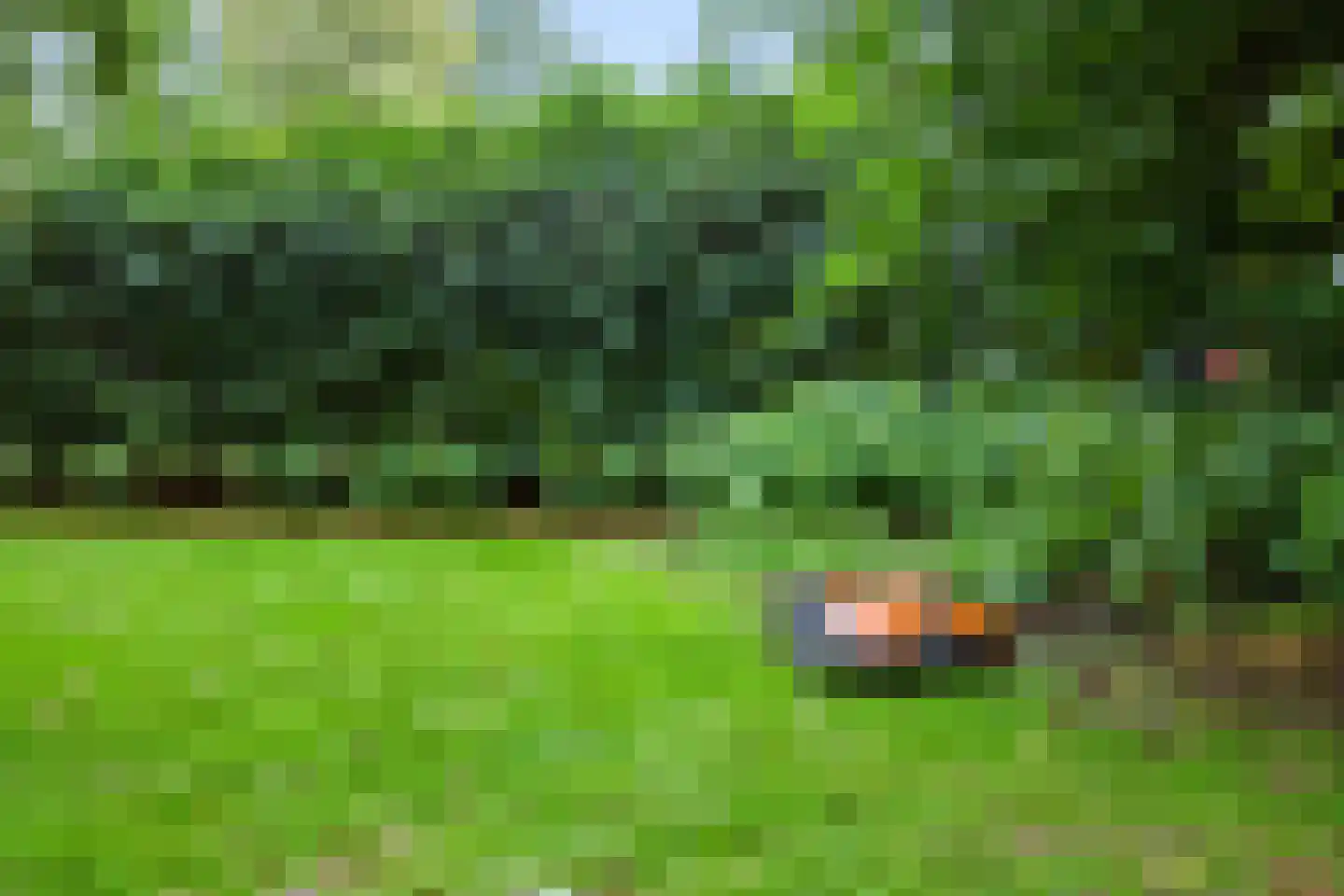 Hoenderloseweg 145 Ugchelen thumbnail 40