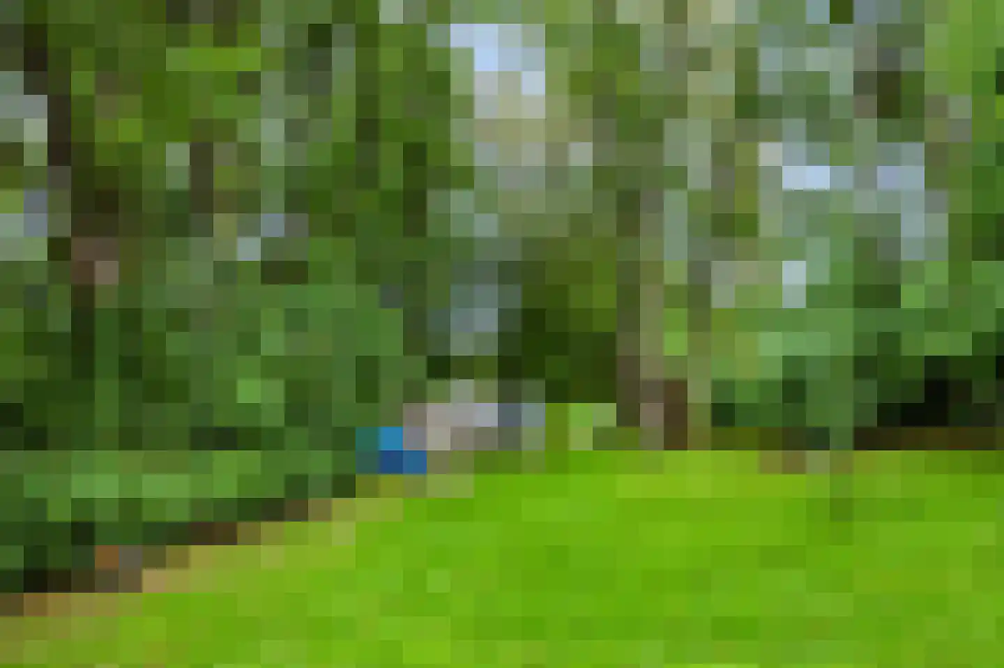 Hoenderloseweg 145 Ugchelen thumbnail 41