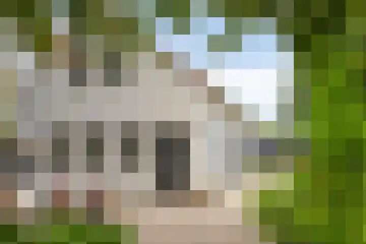 Hoenderloseweg 145 Ugchelen thumbnail 41