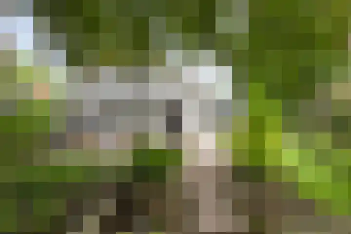 Hoenderloseweg 145 Ugchelen thumbnail 42