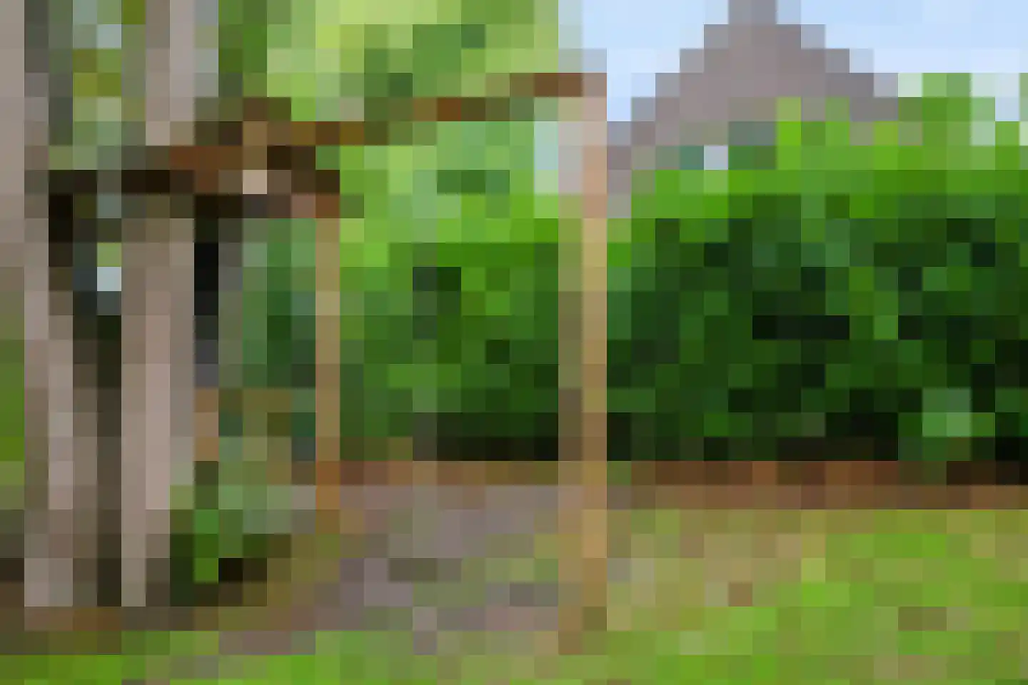 Hoenderloseweg 145 Ugchelen thumbnail 42
