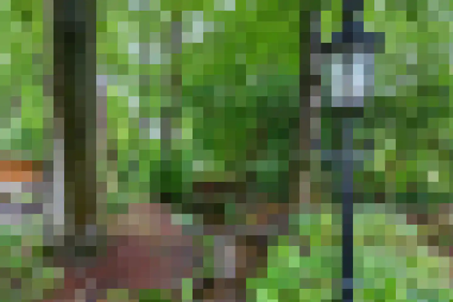 Hoenderloseweg 145 Ugchelen thumbnail 43