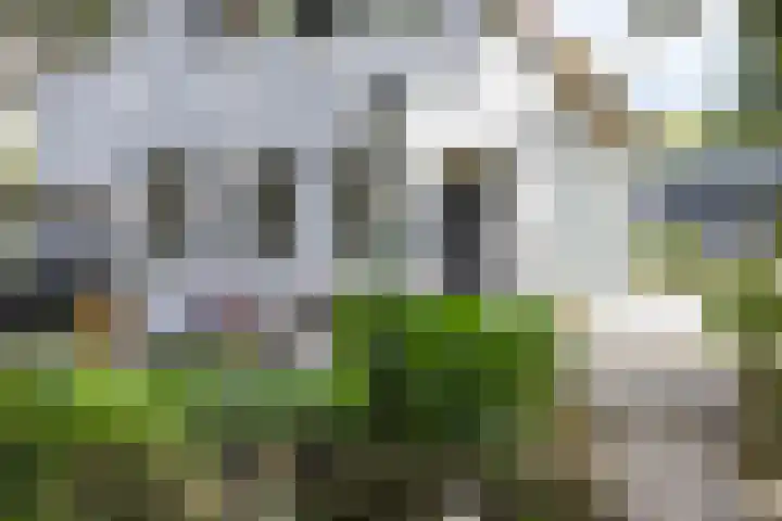 Hoenderloseweg 145 Ugchelen thumbnail 43