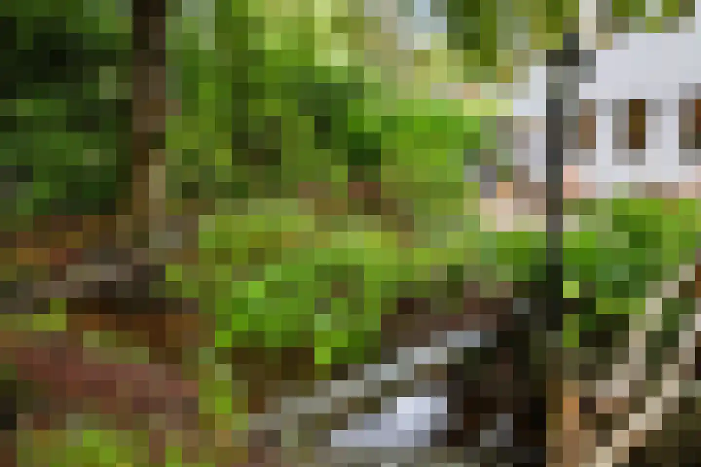 Hoenderloseweg 145 Ugchelen thumbnail 44