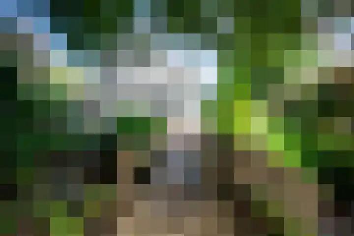 Hoenderloseweg 145 Ugchelen thumbnail 44