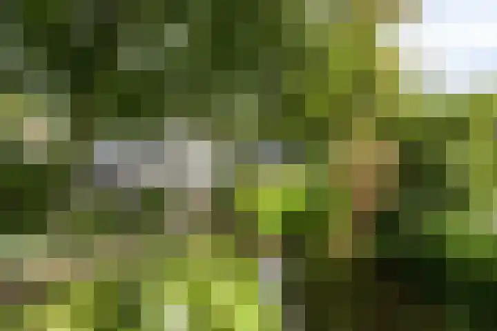 Hoenderloseweg 145 Ugchelen thumbnail 45