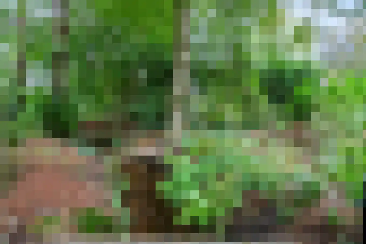 Hoenderloseweg 145 Ugchelen thumbnail 45