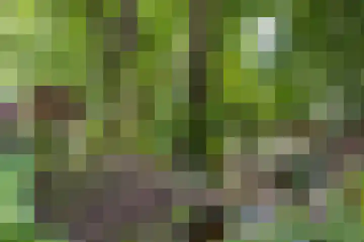 Hoenderloseweg 145 Ugchelen thumbnail 46