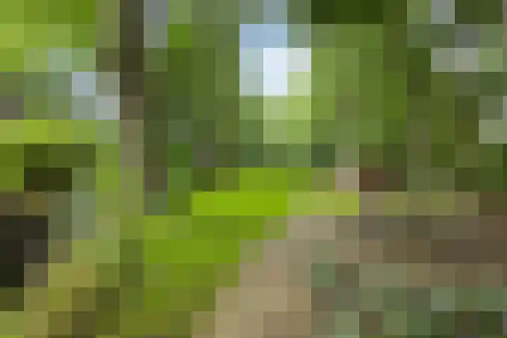 Hoenderloseweg 145 Ugchelen thumbnail 47
