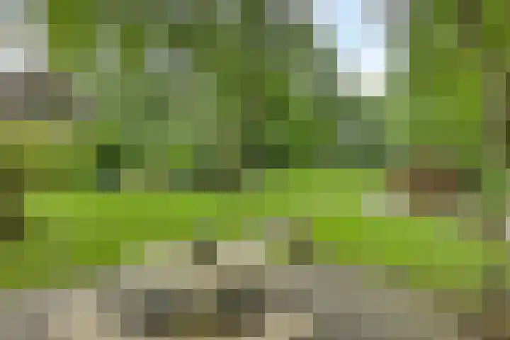Hoenderloseweg 145 Ugchelen thumbnail 48