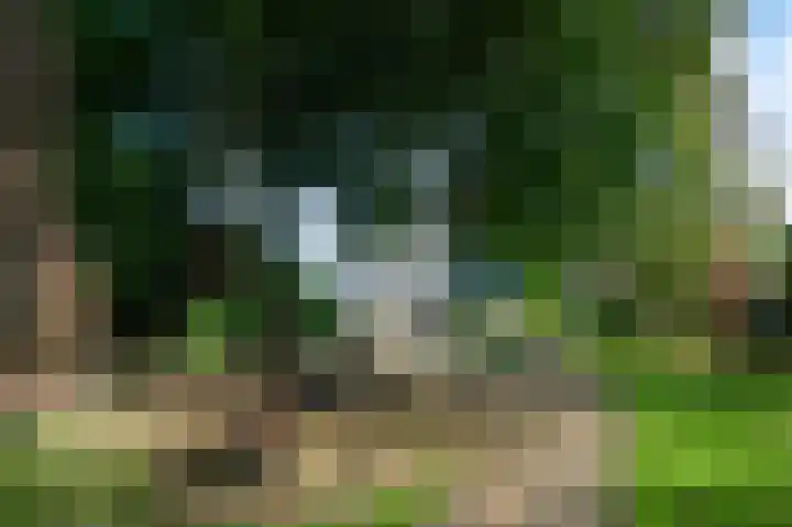 Hoenderloseweg 145 Ugchelen thumbnail 49