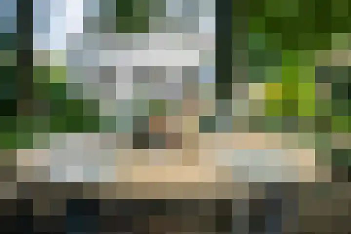 Hoenderloseweg 145 Ugchelen thumbnail 50